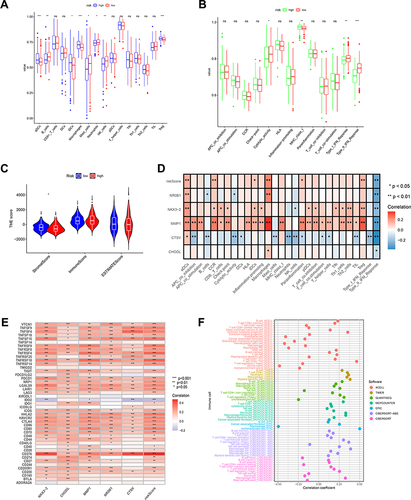 Figure 5 Relationship of ICD-related gene signature with the TME. (A) The infiltration abundance of immune cells in two risk groups. (B) The difference in immune functions between the two risk groups. (C) The stromal score, immune score, and ESTIMATE score between the two risk groups. (D) Heat map revealing the relationship between the 5 ICD genes, risk score, and immune cells and immune function. (E)Heatmap indicating the relationship between ICGs and 5 ICD genes, and risk scores. (F)The connection between stromal and immune cells and risk score was determined by seven different algorithms. *P < 0.05; **P < 0.01; ***P < 0.001; ns, no significance.