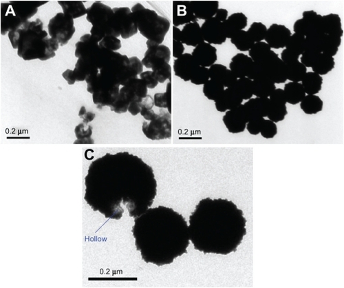 Figure 2 Transmission-electron microscopy images of the A) liposome/SiO2 and B, C) liposome/SiO2/Au nanospheres.