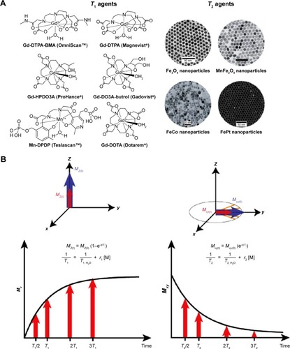 Figure 4 (A) Chemical structure of representative T1 agents (left) and transmission electron microscopy images of exemplary T2 agents (right). (B) T1 relaxation (left) and T2 relaxation (right). Mz(t), longitudinal magnetization; Mz(0), longitudinal magnetization of original equilibrium state; Mxy(t), magnetization in the xy-plane; Mxy(0), magnetization in xy-plane of original equilibrium state; T1,H2O/T2,H2O, relaxation time of pure water; [M], concentration of contrast agent; r1/r2, relaxivity. *Gd-DTPA (Magnevist) is a commercial MRI contrast agent like OmniScan™.Note: Reproduced from Khemtong C, Kessinger CW, Gao J. Polymeric nanomedicine for cancer MR imaging and drug delivery. Chem Commun (Camb). 2009:3497–3510.Citation19 Copyright 2009, with permission of The Royal Society of Chemistry.Abbreviation: Gd, gadolinium.