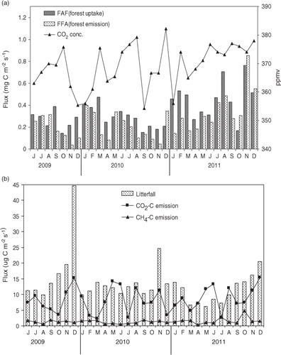 Fig. 3 Monthly variation of (a) biosphere–atmosphere exchange of CO2 –C, (b) litter fall (F FS) and soil emission (F SA) during the period between June, 2009 and 2011.