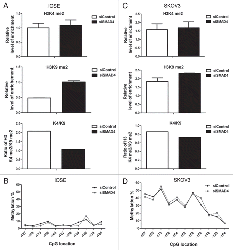 Figure 5 Knockdown of SMAD4 changes the epigenetic status of RunX1T1 promoter. IOSE cells or SKOV3 cells were transfected with siRNA against either SMAD4 (siSMAD4) or control (siControl). Histone modifications of the indicated histone marks in region R2 (Fig. 3) of RunX1T1 promoter were analyzed in (A) IOSE cells or (C) SKOV3 cells. The ratio between H3K4me2 versus H3K9me2 (K4/K9) of each treatment are shown (lower part). Bisulphite pyrosequencing analysis of CpG sites from −187 to −104 in (B) IOSE cells or (D) SKOV3 cells.