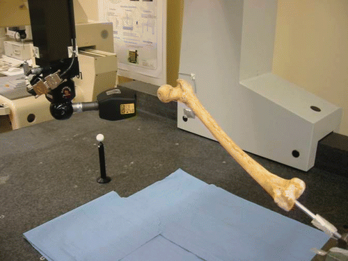Figure 1. Experimental set-up for optical surface scanning with the Metris LC50, mounted on a Coord3 MC16 coordinate measuring machine. The dry femur is mounted by inserting a rigid pin distally in the intramedullary canal, and is positioned obliquely with respect to the ground plane. Pre-drilling of the femur with a slightly smaller diameter than the pin diameter ensures rotational stability of the bone.