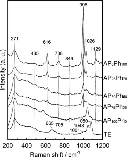Figure 4. Raman spectra of the prepared samples