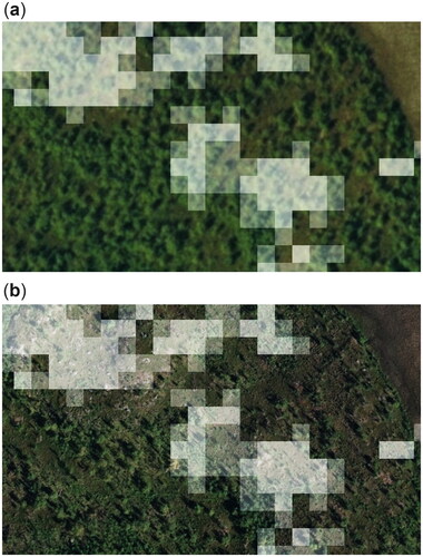 Figure 10. Two forest mortality maps corresponding to different thresholds as overlays to images before and after the outbreak. The brightest overlay shows areas classified as forest mortality with both thresholds, while the more transparent overlay are classifications only made with t=0.3. (a) Image from 2005. (b) Image from 2015.