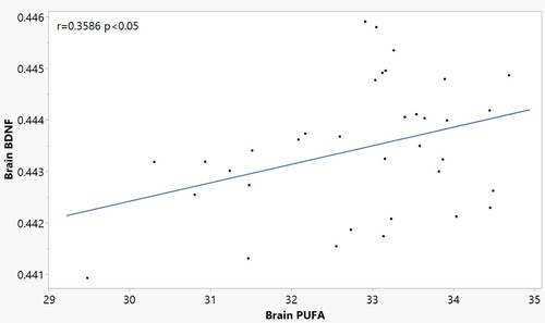 Figure 4. Pearson correlation of total brain PUFA content and Brain BDNF in n = 34 mice (3–4 per diet/injection group) at sacrifice. (r = 0.3586 p < 0.05).