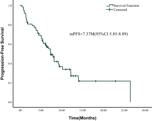 Figure 1 Progression-free survival curve.