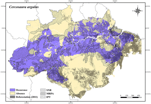 Figure 30. Occurrence area and records of Cercosaura argulus in the Brazilian Amazonia, showing the overlap with protected and deforested areas.