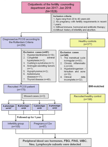 Figure 1 The flowchart of inclusion and exclusion criteria of the study population.Abbreviations: PCOS, polycystic ovary syndrome; FBG, fasting blood glucose; FINS, fasting plasma insulin; WBC, white blood cells; Neu, neutrophil granulocyte; A phenotype, patients with hyperandrogenism (H) + oligomenorrhea (O) + the observation of polycystic ovaries on a sonogram (PCO); B phenotype, patients with H + O; C phenotype, patients with H + PCO; D phenotype, patients with O + PCO.