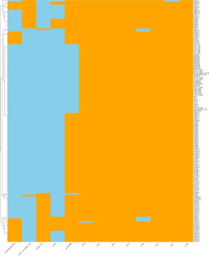 Figure 5. Heatmap of the distribution of antibiotic resistance relative genes or mutations. Orange indicates the presence and skyblue indicates the absence.