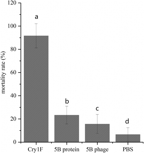 Figure 9. Insecticidal activity of the anti-idiotype nanobody 5B. The error bars represent the standard deviation (n = 6).