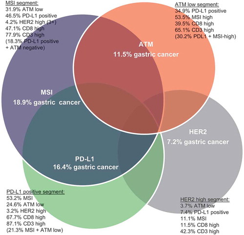 Figure 5. Segmentation of gastric cancers into four distinct molecular subtypes.Illustrative representation of the overlap observed across the different molecular subtypes of gastric cancer (MSI, ATM, PD-L1 and HER2), encompassing the biomarker breakdown for each subtype.