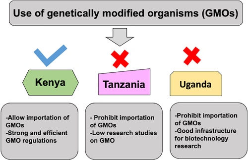 Figure 1. The current state of using of genetically modified crops in Kenya, Tanzania and Uganda.