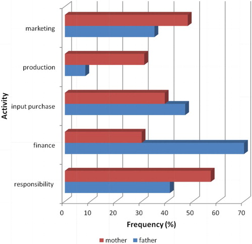 Figure 2. Responsibility and labour supply for broiler units in Marondera urban and peri-urban residential locations.