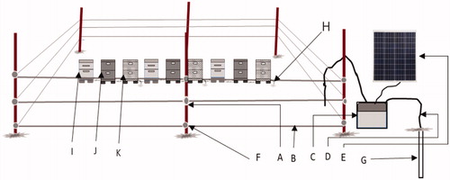 Figure 1. Electric fence system designed around experimental hives. Fence materials include wood post (A), fence wire (1.5 mm in diameter) (B), fence energiser (C), double insulated wire (D) solar panel (E), insulator (F), grounding rod with clamp (G), grounding rod for hive covered with insect screen (H), wooden hive (I), insulated hive (J) and wooden hive covered with insect screen (K).