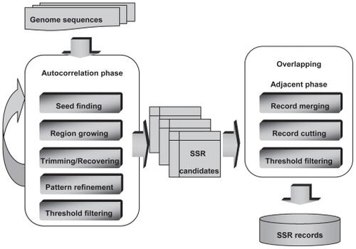 Figure 1 The flowchart of CG-SSR searching algorithm.