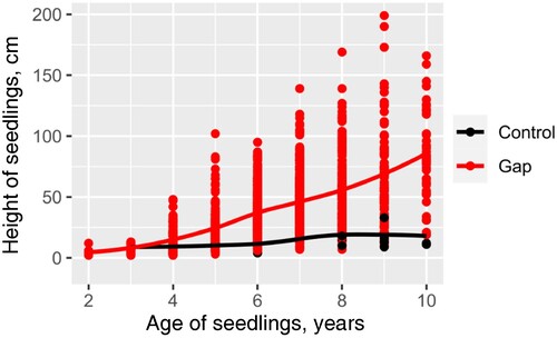 Figure 6. The height of pine seedlings on regeneration plots in gaps (red) and in closed forest, i.e. control plots in the buffer zone (black). The scatterplot was based on raw data of observed ages and the corresponding heights of the seedlings.
