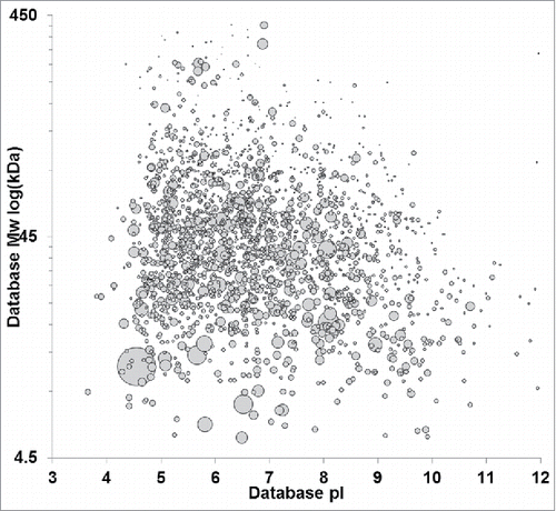 Figure 1. Virtual 2D-PAGE of the HCP immunogen based on MS-protein identifications. Identified proteins were plotted by database molecular weight and pI. spot size is scaled to relative protein abundance as determined by Mascot emPAI. Null cell HCPs span the molecular weight range from ∼5 to 450 kDa with pls ranging from 3–12.