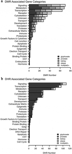 Figure 6. Associated gene categories. (a) DMR-associated gene categories. (b) DHR associated gene categories. The different gene categories and number DMR or DHR presented with color index insert. No statistical analysis was performed for over-represented genes, but sample correlations provided for each gene category