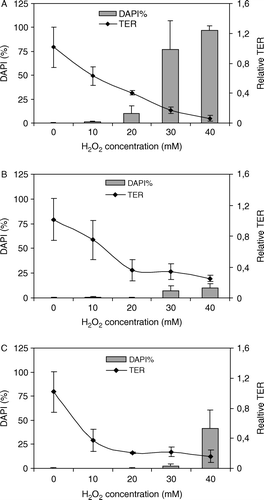 Figure 4.  Effect of hydrogen peroxide and L. plantarum 2142 on TER and necrosis in filter grown Caco-2 cells. Caco-2 cells were exposed to various concentrations of hydrogen peroxide (A) or simultaneously to hydrogen peroxide and L. plantarum 2142 (B) for 1 h. Furthermore, Caco-2 cells were pre-treated with L. plantarum 2142 for 1 h, and after removing the bacteria by washing with plain DMEM, the cells were exposed to the hydrogen peroxide concentrations for 1 h (C). At the end of the treatment periods, TER was measured. After washing, cells were stained with DAPI. TER is expressed as relative TER, necrosis as percentage of DAPI-stained nuclei. Means and SD of triplicates are given.