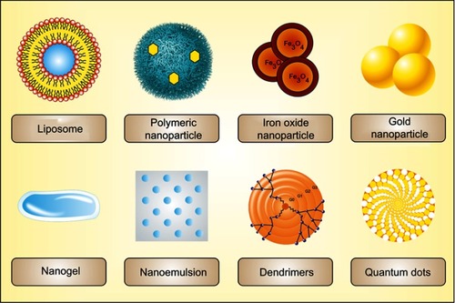 Figure 2 Figure showing general structure of some important nanocarriers including liposome, polymeric nanoparticle, inorganic nanoparticle (iron oxide or magnetic nanoparticle and gold nanoparticle), nanogel, nanoemulsion, dendrimers and quantum dots used to target the therapeutic agents to the brain.