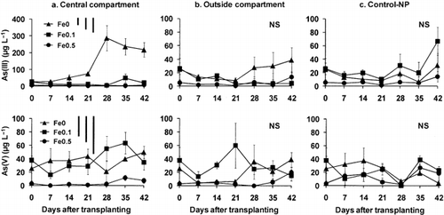 Figure 3  Amounts of As(III) and As(V) in the soil solutions collected from the central and outside compartments of the rhizobags and from Control-NP pots during the experimental period. Data are the mean ± standard deviation (n = 3). Bars at the top right of each graph indicate the least significant differences (LSD) for comparison between sampling time (left), between compartments (middle) and any pair of data (right) at P < 0.05.