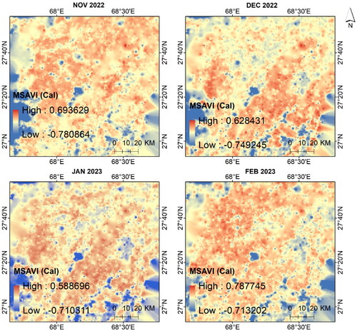 Figure 11. Model output of MSAVI during the rabi crop months after the flood.