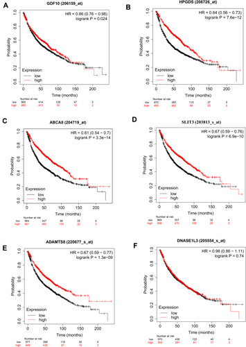 Figure 5 Overall survival curves based on GDF10 (A), HPGDS (B), ABCA8 (C), SLIT3 (D), ADAMTS8 (E) and DNASE1L3 (F) expression in patients with LUAD using Kaplan–Meier Plotter online tool. Log-rank P<0.05 indicated a significant difference.
