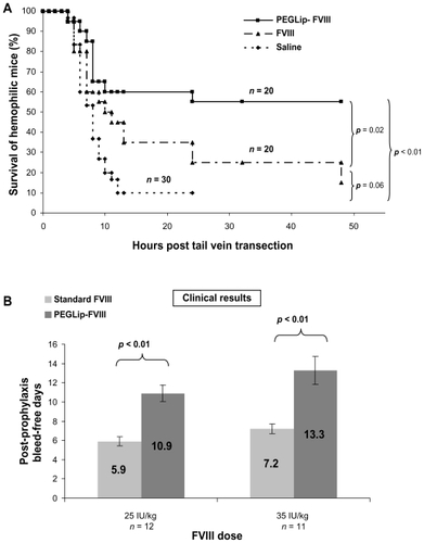 Figure 2 Efficacy of PEGLip-formulated FVIII in preclinical experiments and a clinical trial. A) Efficacy in an animal model. Hemophilic mice were injected into the tail vein with PEGLip-formulated FVIII, standard FVIII (both 0.1 IU/mouse), or saline. Twenty-four hours after injection, the left lateral tail vein of each mouse was cut and survival was scored. B) Efficacy in a clinical trial. Hemophilia A patients were given 25 IU/kg or 35 IU/kg of standard or PEGLip-formulated FVIII and the time between the prophylactic infusion and the next spontaneous bleed was recorded. The number of bleeding-free days following each treatment is shown. Results are average ± SEM.