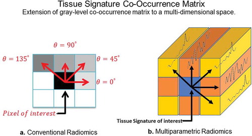 Figure 8. Illustration of the differences between GLCM radiomic features from conventional single image and multiparametric radiomics. (a). Single image radiomics features extract the inter-pixel relationships in-plane of a radiological image whereas, (b). the multiparametric radiomics extract the inter-tissue-signature relationships across multiple radiological images.