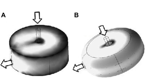 Figure 6 Tridimensional representation of the intensity of the wall shear stress on the cavities.