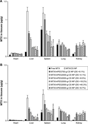 Figure 8 The MTX biodistribution in ICR mice 24 h (A) and 48 h (B) after an intravenous administration of different MTX loaded mPEG-g-CS nanoparticles at an equivalent dose of 4 mg MTX/kg.Notes: Values represent the mean ± SD (n=3). Statistically significant differences from MTX/mPEG2000-g-CS NP (DS =4.1%): **p<0.01. Statistically significant differences from MTX/mPEG750-g-CS NP (DS =9.1%): ##p<0.01.Abbreviations: CS, chitosan; DS, degree of substitution; mPEG, methoxy poly(ethylene glycol); MTX, methotrexate; NP, nanoparticle.