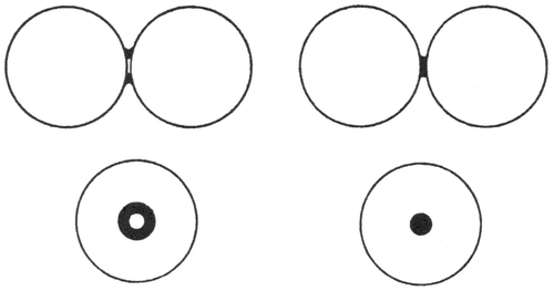 Figure 10 The ‘paint’ method of marking (left) close and (right) near contacts between spheres. Reprinted by permission from Macmillan Publishers Ltd.: Nature 188 (1960) 910, copyright 1960.
