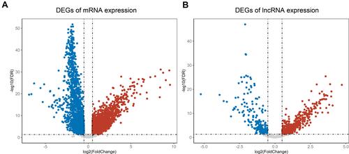 Figure 2 Screening of DEGs and DE-lncRNAs in 291 samples. (A) The volcano maps of DEGs, red dot represents up-regulated mRNAs and blue dot represents down-regulated mRNAs in high immune score group. (B) The volcano maps of DE-lncRNAs, red dot represents up-regulated lncRNAs in and blue dot represents down-regulated lncRNAs in high immune score group.