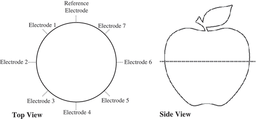 Figure 3. Top and side views of electrodes placed into apples for collection of magnitude responses.