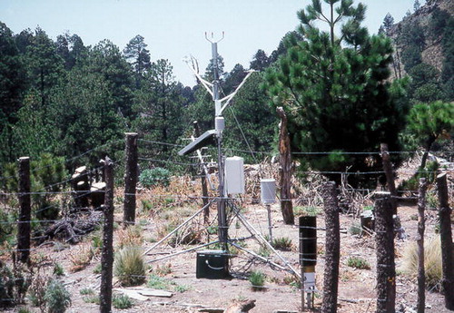 FIGURE 2. Automated weather station installed at the tropical timberline of Nevado de Colima, Mexico. This photograph was taken by F. Biondi on 2 April 2002