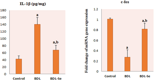 Figure 4. Comparison of brain IL-1β levels and c-fos mRNA relative expression among the experimental groups. Values are presented as mean ± SD.