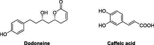 Figure 1. Phenolic derivatives dodoneine isolated from Agelanthus dodoneifolius, and caffeic acid, a widespread phenolic acid in many plants.