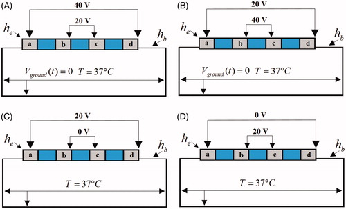 Figure 4. Electrical and thermal boundary conditions 2.