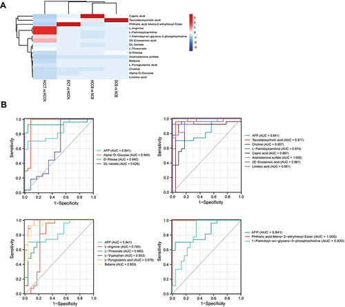 Figure 5 Characteristics of the biomarker signature from HCC VS DC (A) Heatmap of 16 differential metabolites among four groups: HCCB vs NCB, DCB vs NCB, HCCT vs HCCN and DCB vs HCCN. (B) ROC curve of AFP and 16 differential metabolites.