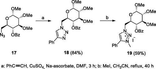 Scheme 6. Synthesis of glucose-based triazolium salt 19.