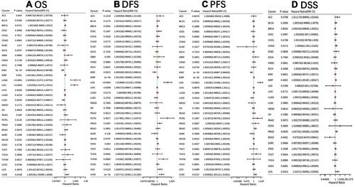 Figure 8 Forest plot showing correlations between SEPHS2 expression and OS (A), DFS (B), PFS (C), DSS (D) in patients with different tumor types. OS, overall survival; DFS, disease free survival, PFS, progression free survival, DSS, disease specific survival. P value > 0.05 was considered insignificant.
