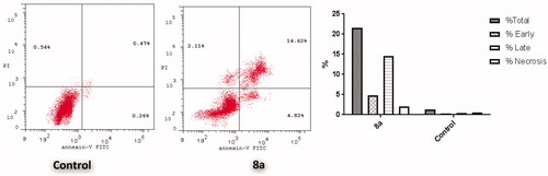 Figure 3. Effect of conjugate 8a over the AV-FITC-positive staining percentages in breast T-47D cells.