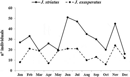 Figure 1. Annual variations in abundance (no. individuals) of Jujubinus striatus and Jujubinus exasperatus for each month, obtained by pooling data from all sampled depths.