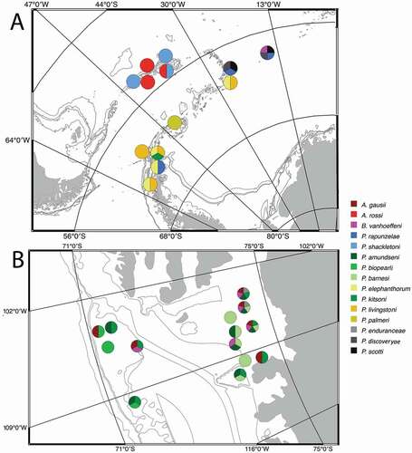 Figure 49. Geographic distribution of newly described Pseudotanaidae from the BIOPEARL 1 and 2 expeditions