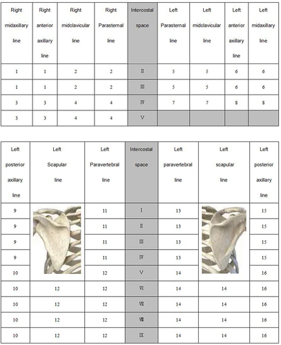 Figure 1 Zones of lung ultrasound score measurement. A 72 intercostal spaces scan of bilateral anterior, lateral, and posterior chest wall, in which we divided the entire chest into 16 zones as shown.