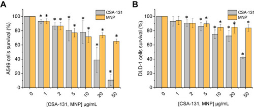 Figure 1 Cytotoxicity of ceragenin CSA-131 and magnetic nanoparticles (MNP) against lung carcinoma A549 and colon cancer DLD-1 cells. Decrease of lung cancer A549 (A) and colon cancer DLD-1 (B) cell viability after 24 hour treatment with ceragenin CSA-131 (grey bars) and MNP (yellow bars) in concentrations ranging from 1 to 50 µg/mL. Results are presented as mean ± SD from 3 to 6 individual experiments. *Indicates statistical significance (p-value < 0.05) when comparing to untreated control cells (0 µg/mL).