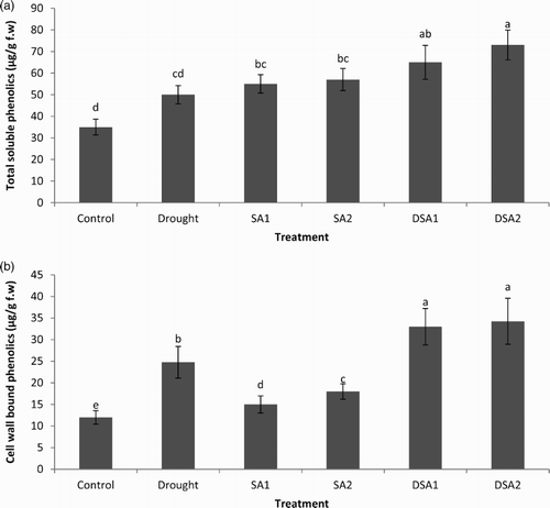 Figure 5. Effect of SA on (a) total phenolics content (LSD: 14.527) and (b) cell wall-bound phenolics (LSD: 2.110) of maize under drought stress. Notes: Means sharing a common English alphabet are statistically similar. Treatments: Control (foliar-applied distilled water), Drought plants subjected to drought stress, SA1 – foliar-applied SA (10−4 mol/L), SA2 – foliar-applied SA (10−5 mol/L), DSA1 – drought + foliar-applied SA (10−4 mol/L), DSA2 – drought + foliar-applied SA (10−5 mol/L).