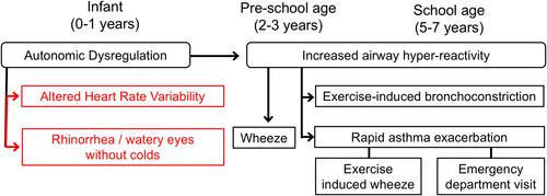 Figure 2 Hypothesized connection between autonomic dysregulation in infancy and airway hyperreactivity at school age. Components tested in this analysis are shown in red.