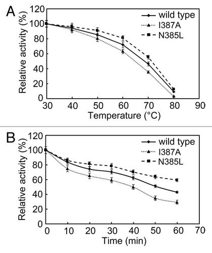 Figure 3. Effect of temperature on the stability of N385L (), I387A () and wild-type () BSAPs. (A) Thermostability of those three BSAPs. (B) Thermal inactivation of those three BSAPs. The results are the mean of three independent experiments.