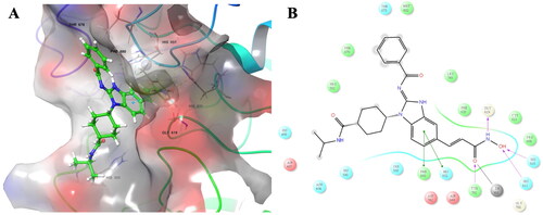 Figure 6. The predicted binding mode for 3b in the binding site of HDAC6 (PDB ID: 5EDU). (A) The yellow lines indicated hydrogen bonds and the cyan lines indicated pi-pi interactions. (B) The purple arrows indicated hydrogen bonds, the green arrows indicated π–π interactions, and the gray line indicated metal interaction.